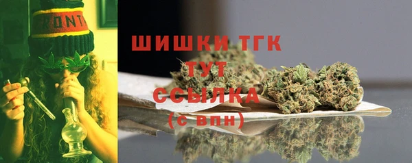 ГАЛЛЮЦИНОГЕННЫЕ ГРИБЫ Магас