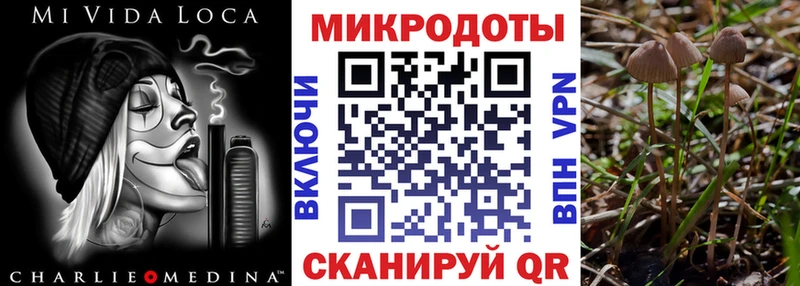 Купить где  Козловка  Галлюциногенные грибы MAGIC MUSHROOMS 